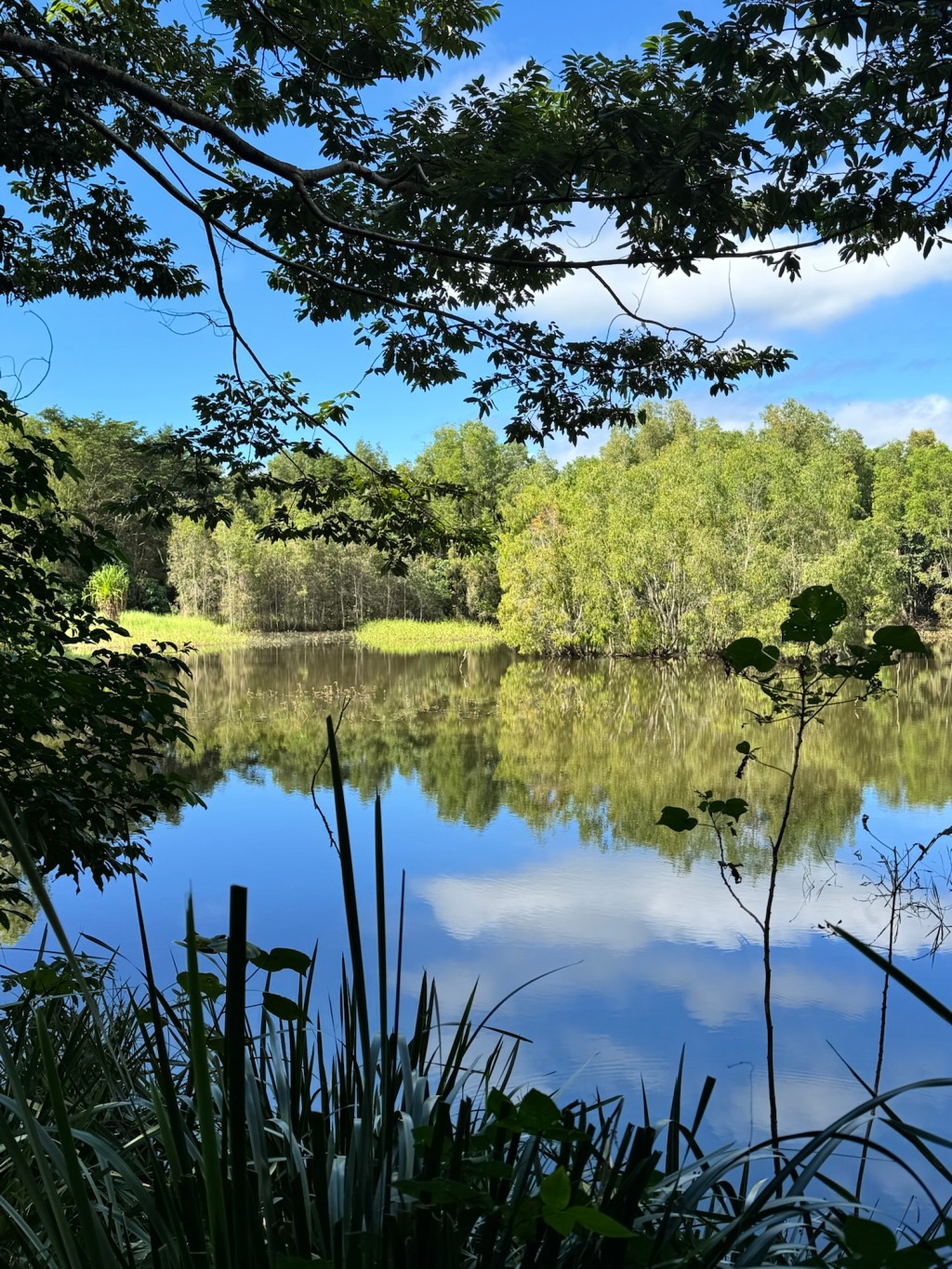 Days 29 – 32 – Daintree and Cape&nbsp;Tribulation