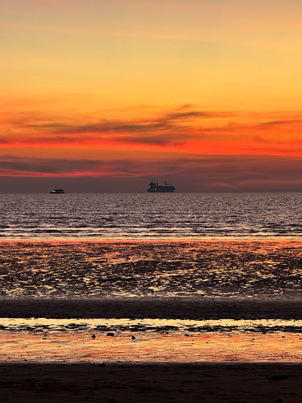 Days 58 to 77 –&nbsp;Darwin